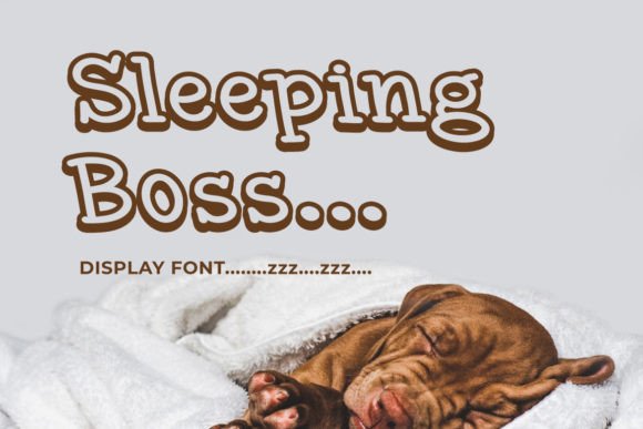 Sleeping Boss: A Minimalist Display Font for Calm Editorial Presence